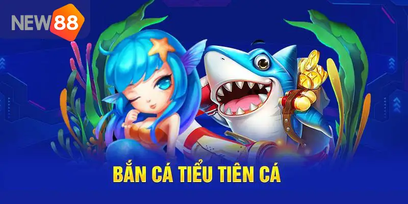 Giao diện ban ca tieu tien ca tinh tế