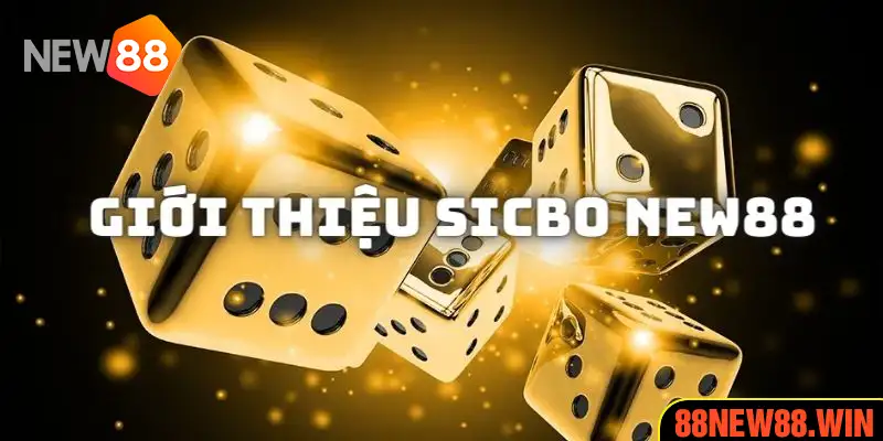 Giới thiệu dịch vụ chơi Sicbo tại New88