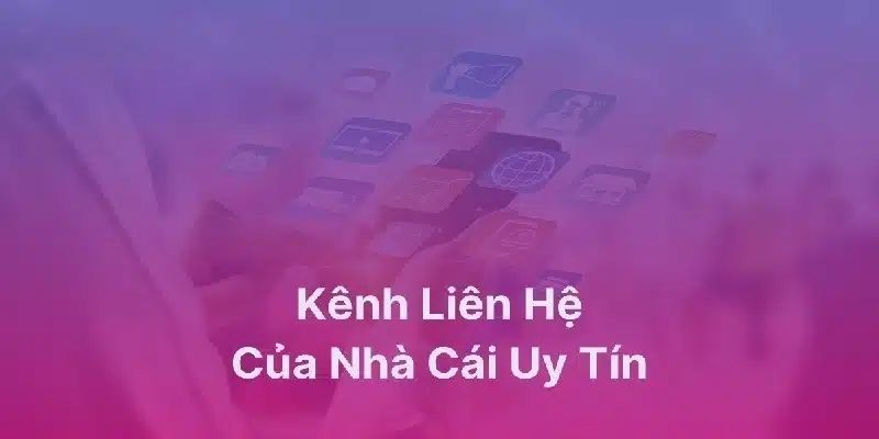 Hướng dẫn chi tiết các cách thức liên lạc mà bạn có thể sử dụng