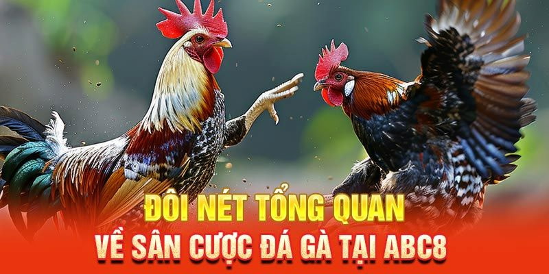 Khám phá khái quát và giới thiệu về đá gà ABC8 cực hot